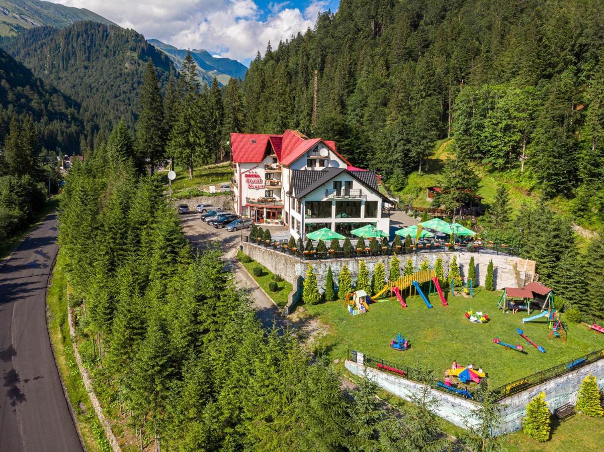Piscul Negru Hotel - Transfagarasan Cumpana  Exterior photo